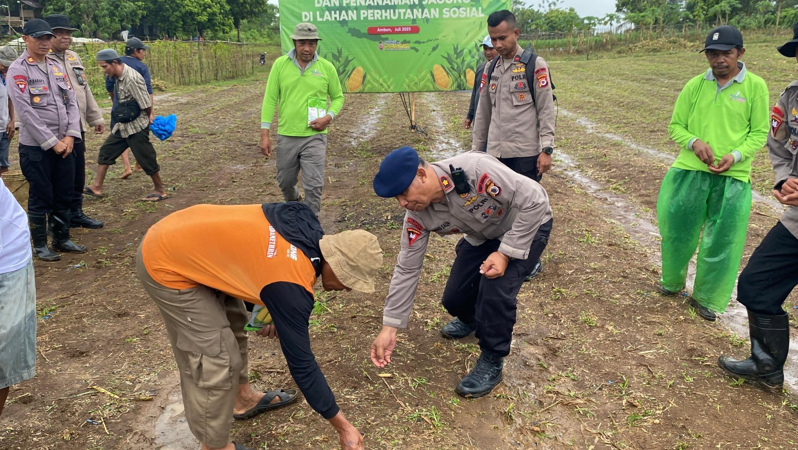 Brimob Polda Maluku Tanam Jagung Bonansa, Wujud Nyata Dukung Ketahanan Pangan di Tengab Masyarakat