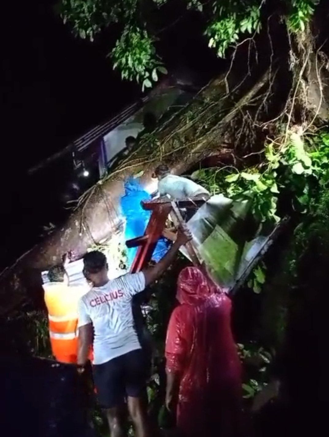 Hujan Deras, Warga OSM Meninggal Tertimpa Pohon di Batu Gantung