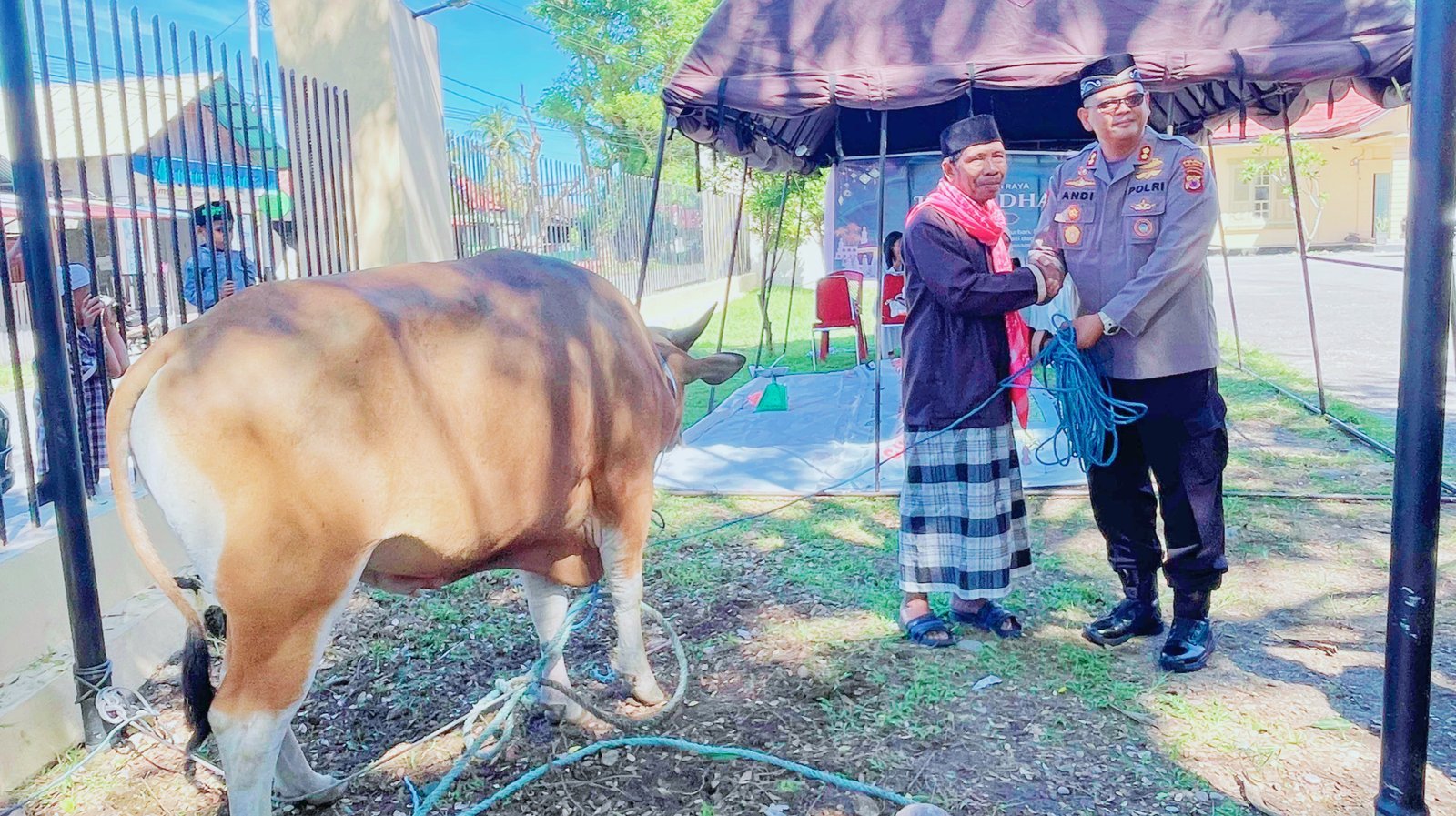 Berbagi di Hari Raya Idul Adha 1446 H / 2025 Polres BurseL Kurbankan 7 Ekor Hewan Kurban