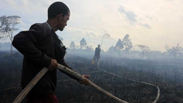 Empat Langkah Praktis Penanganan Desain Teknologi Karhutla