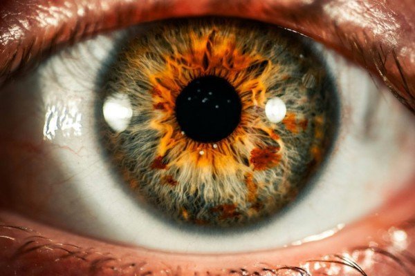 Mengapa Retina Mata Dapat Di-scan? Inilah Penjelasannya Berdasarkan Ilmu Sains