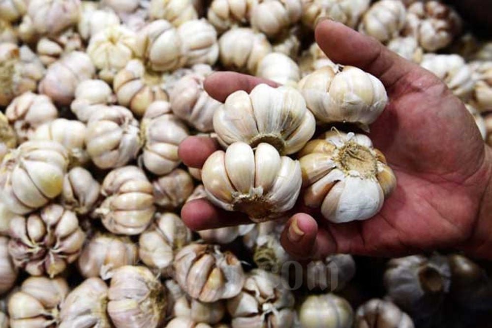 Impor Beras Dihentikan, Fokus pada Daging dan Bawang Putih