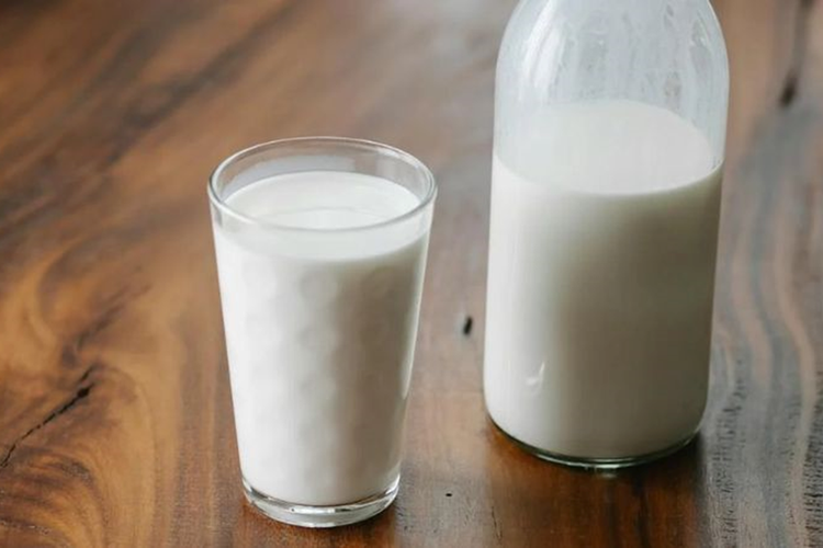 Susu Kambing Etawa: Sumber Alami Zat Antibakteri