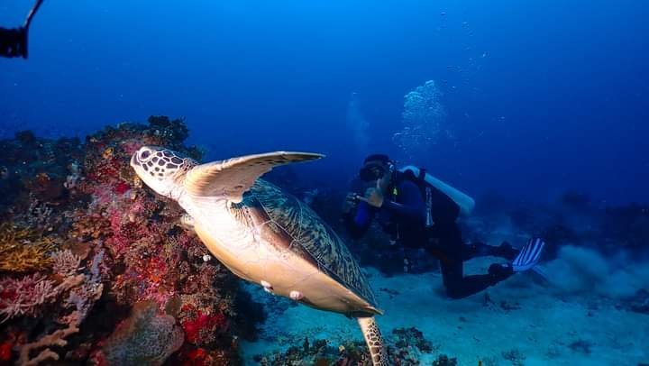 Hamparan Pasir Putih dan Laut Jernih, Surga Tersembunyi Buru Selatan di Maluku Keindahan Buru Selatan.(Indonesia Tourism)