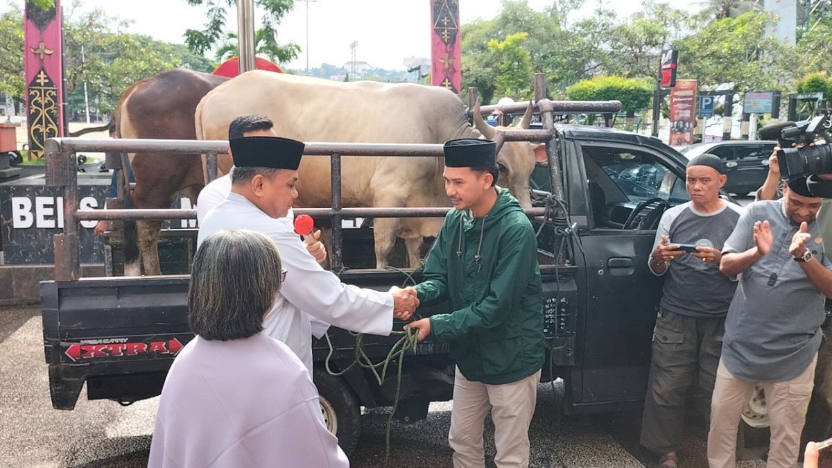 Sambut Idul Adha 1445 Hijriah  Pemkot Ambon mengalokasikan sebanyak 73 ekor hewan kurban