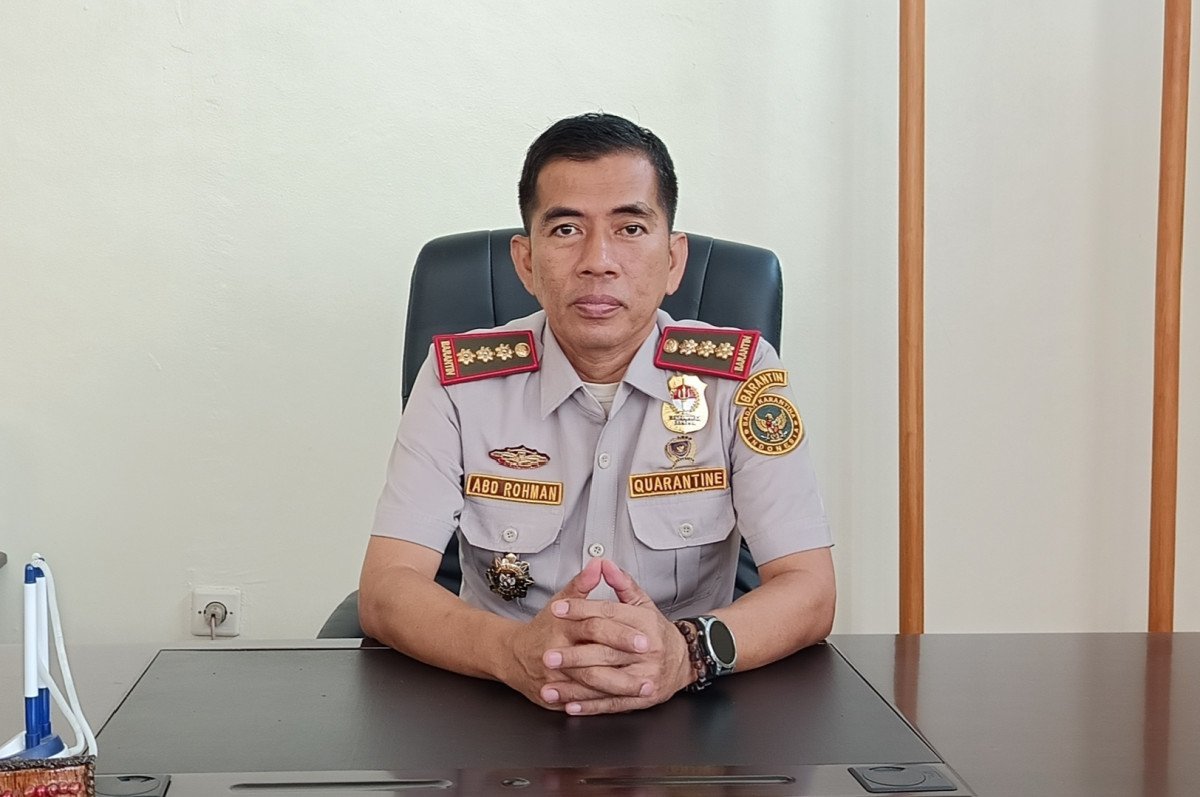 Bantu Pengusaha Ekspor, Karantina Maluku Upayakan Fumigasi di Ambon