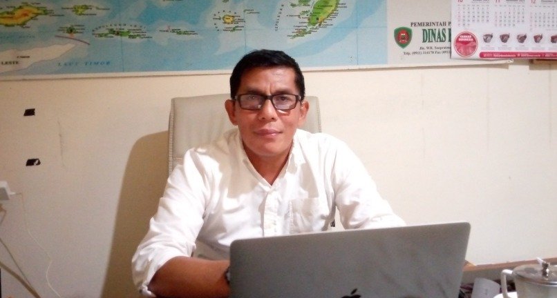 Distan Maluku Intens Kembangkan Sektor Peternakan