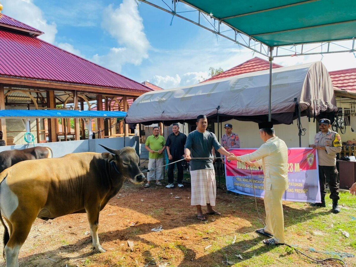 Kapolres Kepulauan Tanimbar sumbangkan Hewan Kurban sambut hari Raya Idul Adha 1444H