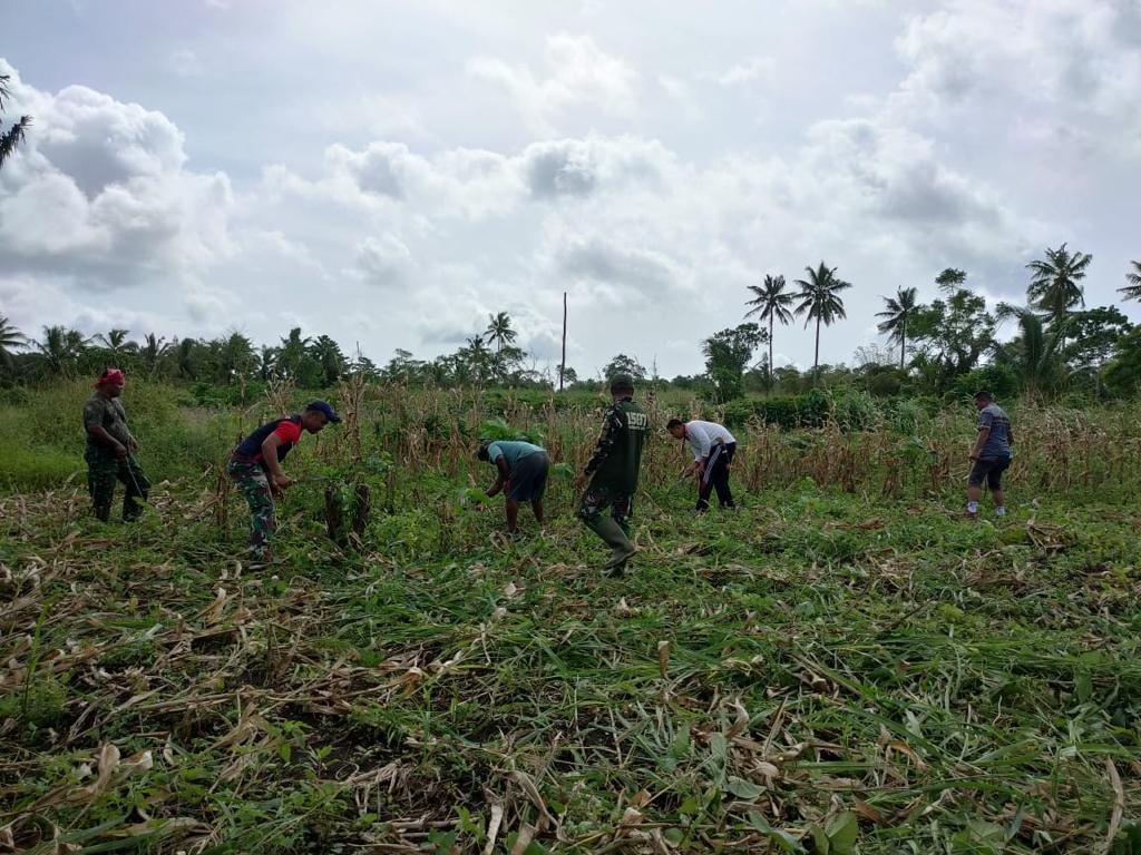 Manfaatkan Lahan Kosong ini Yang Dilakukan Kodim Saumlaki