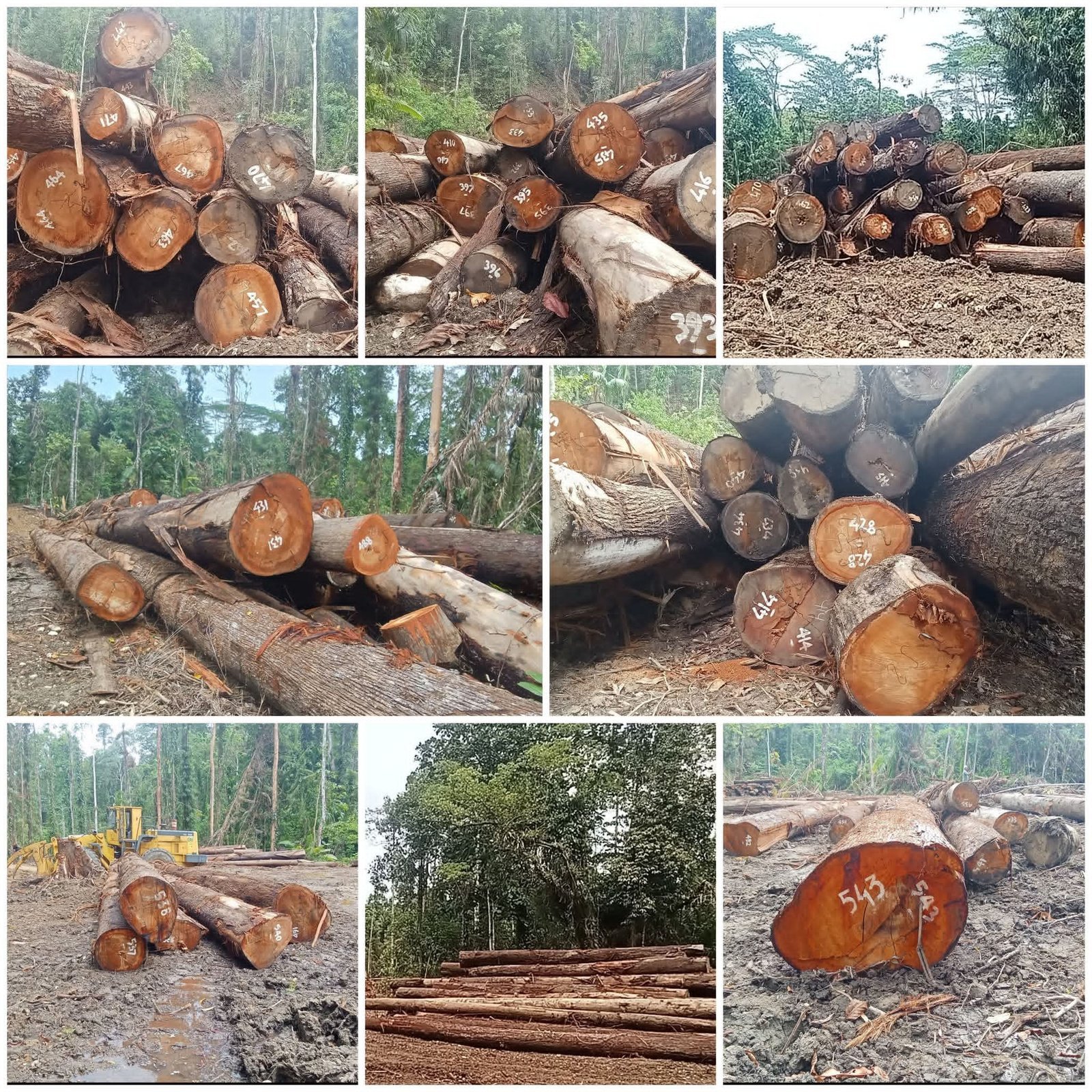 Warga Tolak Aktivitas PT Nusa Padma Corporation di BurseL, Diduga Rusak Ling